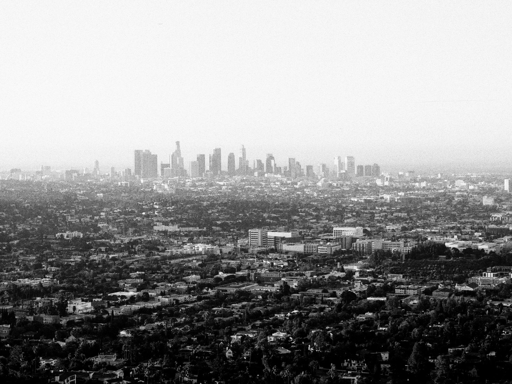 City view from Griffith Park